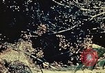 Standbild United States Marine Corps Okinawa Ryukyu Inseln, 1945, aus Sekunde 59 historischem Filmmaterial Videoclip 65675051654