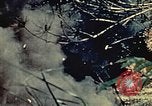 Standbild United States Marine Corps Okinawa Ryukyu Inseln, 1945, aus Sekunde 61 historischem Filmmaterial Videoclip 65675051654