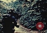 Standbild United States Marine Corps Okinawa Ryukyu Inseln, 1945, aus Sekunde 3 historischem Filmmaterial Videoclip 65675051655