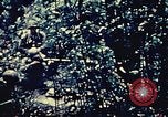 Standbild United States Marine Corps Okinawa Ryukyu Inseln, 1945, aus Sekunde 23 historischem Filmmaterial Videoclip 65675051655