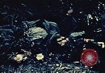 Standbild United States Marine Corps Okinawa Ryukyu Inseln, 1945, aus Sekunde 34 historischem Filmmaterial Videoclip 65675051655