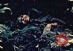Standbild United States Marine Corps Okinawa Ryukyu Inseln, 1945, aus Sekunde 37 historischem Filmmaterial Videoclip 65675051655