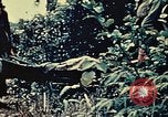 Standbild United States Marine Corps Okinawa Ryukyu Inseln, 1945, aus Sekunde 56 historischem Filmmaterial Videoclip 65675051655