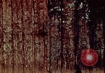 Standbild United States Marine Corps Okinawa Ryukyu Inseln, 1945, aus Sekunde 31 historischem Filmmaterial Videoclip 65675051657