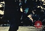 Standbild United States Marine Corps Okinawa Ryukyu Inseln, 1945, aus Sekunde 61 historischem Filmmaterial Videoclip 65675051657