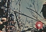 Image of United States Marine Corps Okinawa Ryukyu Islands, 1945, second 14 stock footage video 65675051658