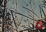 Image of United States Marine Corps Okinawa Ryukyu Islands, 1945, second 15 stock footage video 65675051658