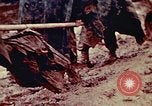 Standbild United States Marine Corps Okinawa Ryukyu Inseln, 1945, aus Sekunde 59 historischem Filmmaterial Videoclip 65675051660