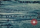 Standbild United States Marine Corps Okinawa Ryukyu Inseln, 1945, aus Sekunde 11 historischem Filmmaterial Videoclip 65675051661