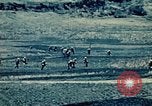Standbild United States Marine Corps Okinawa Ryukyu Inseln, 1945, aus Sekunde 14 historischem Filmmaterial Videoclip 65675051661