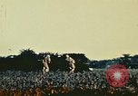 Standbild United States Marine Corps Okinawa Ryukyu Inseln, 1945, aus Sekunde 19 historischem Filmmaterial Videoclip 65675051661