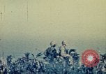 Standbild United States Marine Corps Okinawa Ryukyu Inseln, 1945, aus Sekunde 36 historischem Filmmaterial Videoclip 65675051661