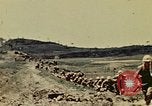 Image of United States soldiers Okinawa Ryukyu Islands, 1945, second 29 stock footage video 65675051663