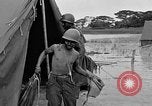 Image Bataille d'Okinawa Okinawa îles Ryukyu, 1945, de la seconde 40 séquences d'archives historiques vidéo 65675051668