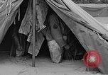 Image Bataille d'Okinawa Okinawa îles Ryukyu, 1945, de la seconde 47 séquences d'archives historiques vidéo 65675051668
