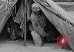 Image Bataille d'Okinawa Okinawa îles Ryukyu, 1945, de la seconde 48 séquences d'archives historiques vidéo 65675051668