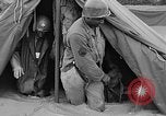 Image Bataille d'Okinawa Okinawa îles Ryukyu, 1945, de la seconde 49 séquences d'archives historiques vidéo 65675051668