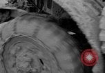 Image Bataille d'Okinawa Okinawa îles Ryukyu, 1945, de la seconde 10 séquences d'archives historiques vidéo 65675051670