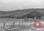 Image of Battle of Okinawa Okinawa Ryukyu Islands, 1945, second 16 stock footage video 65675051672