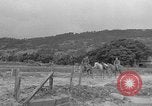 Image of Battle of Okinawa Okinawa Ryukyu Islands, 1945, second 17 stock footage video 65675051672