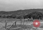 Image of Battle of Okinawa Okinawa Ryukyu Islands, 1945, second 18 stock footage video 65675051672