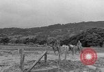 Image of Battle of Okinawa Okinawa Ryukyu Islands, 1945, second 19 stock footage video 65675051672