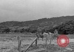 Image of Battle of Okinawa Okinawa Ryukyu Islands, 1945, second 20 stock footage video 65675051672