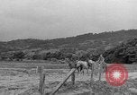 Image of Battle of Okinawa Okinawa Ryukyu Islands, 1945, second 21 stock footage video 65675051672
