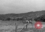 Image of Battle of Okinawa Okinawa Ryukyu Islands, 1945, second 22 stock footage video 65675051672