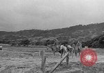 Image of Battle of Okinawa Okinawa Ryukyu Islands, 1945, second 23 stock footage video 65675051672