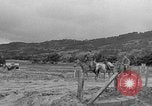Image of Battle of Okinawa Okinawa Ryukyu Islands, 1945, second 24 stock footage video 65675051672