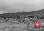 Image of Battle of Okinawa Okinawa Ryukyu Islands, 1945, second 26 stock footage video 65675051672