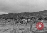 Image of Battle of Okinawa Okinawa Ryukyu Islands, 1945, second 27 stock footage video 65675051672