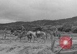 Image of Battle of Okinawa Okinawa Ryukyu Islands, 1945, second 28 stock footage video 65675051672