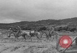 Image of Battle of Okinawa Okinawa Ryukyu Islands, 1945, second 29 stock footage video 65675051672