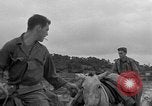 Image of Battle of Okinawa Okinawa Ryukyu Islands, 1945, second 36 stock footage video 65675051672