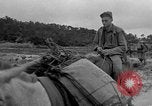 Image of Battle of Okinawa Okinawa Ryukyu Islands, 1945, second 38 stock footage video 65675051672