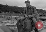 Image of Battle of Okinawa Okinawa Ryukyu Islands, 1945, second 39 stock footage video 65675051672