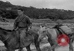 Image of Battle of Okinawa Okinawa Ryukyu Islands, 1945, second 43 stock footage video 65675051672