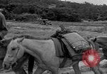 Image of Battle of Okinawa Okinawa Ryukyu Islands, 1945, second 45 stock footage video 65675051672