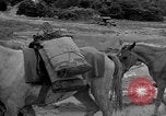 Image of Battle of Okinawa Okinawa Ryukyu Islands, 1945, second 46 stock footage video 65675051672