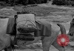 Image of Battle of Okinawa Okinawa Ryukyu Islands, 1945, second 47 stock footage video 65675051672