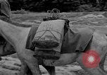 Image of Battle of Okinawa Okinawa Ryukyu Islands, 1945, second 48 stock footage video 65675051672