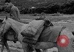 Image of Battle of Okinawa Okinawa Ryukyu Islands, 1945, second 49 stock footage video 65675051672