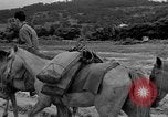Image of Battle of Okinawa Okinawa Ryukyu Islands, 1945, second 50 stock footage video 65675051672
