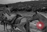 Image of Battle of Okinawa Okinawa Ryukyu Islands, 1945, second 51 stock footage video 65675051672