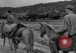 Image of Battle of Okinawa Okinawa Ryukyu Islands, 1945, second 52 stock footage video 65675051672
