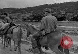 Image of Battle of Okinawa Okinawa Ryukyu Islands, 1945, second 53 stock footage video 65675051672