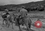 Image of Battle of Okinawa Okinawa Ryukyu Islands, 1945, second 54 stock footage video 65675051672