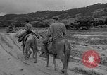 Image of Battle of Okinawa Okinawa Ryukyu Islands, 1945, second 55 stock footage video 65675051672